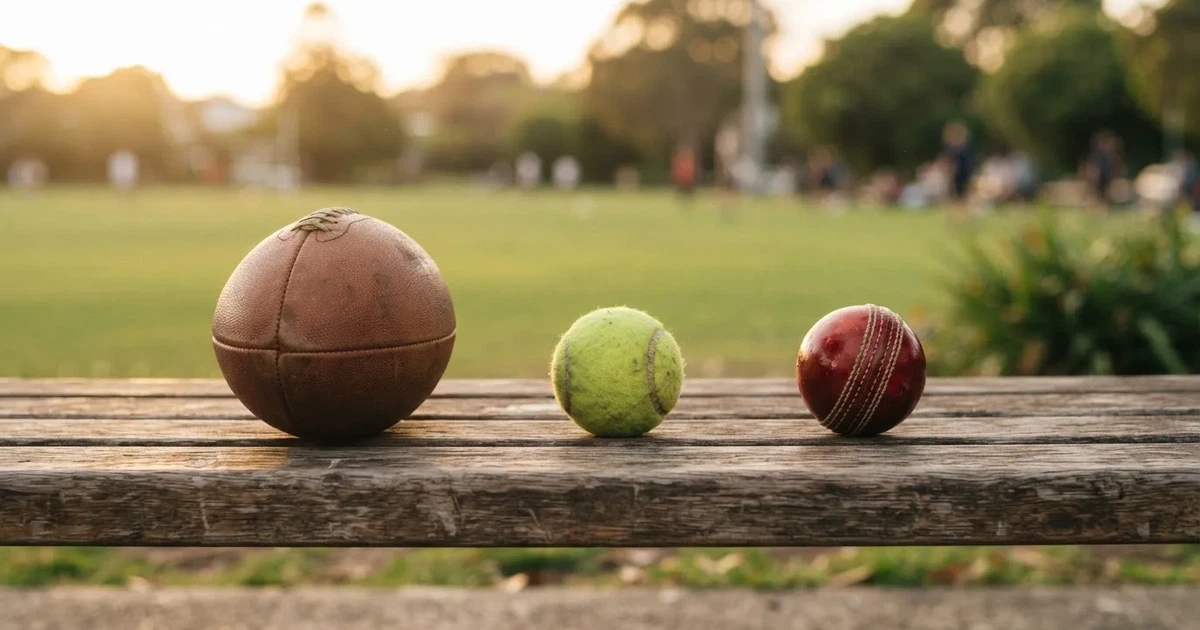 Three balls of different kinds side by side on a wooden bench