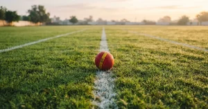 Kabaddi Betting Sites: UK Licensing and Real Cost