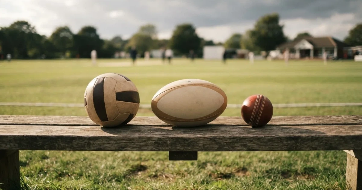 Three balls of different kinds side by side on a wooden bench
